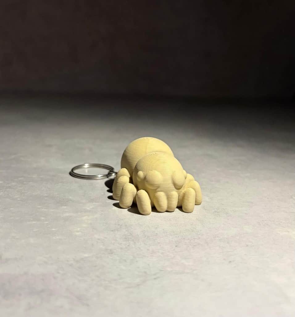 Zirneklitis Atslēgu piekariņš