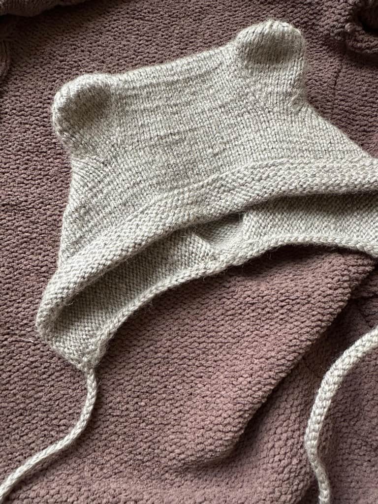 Adīts raudzībām komplekts