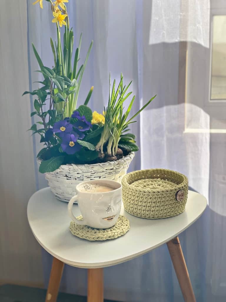 Krūžu paliktņi groziņā 🌿