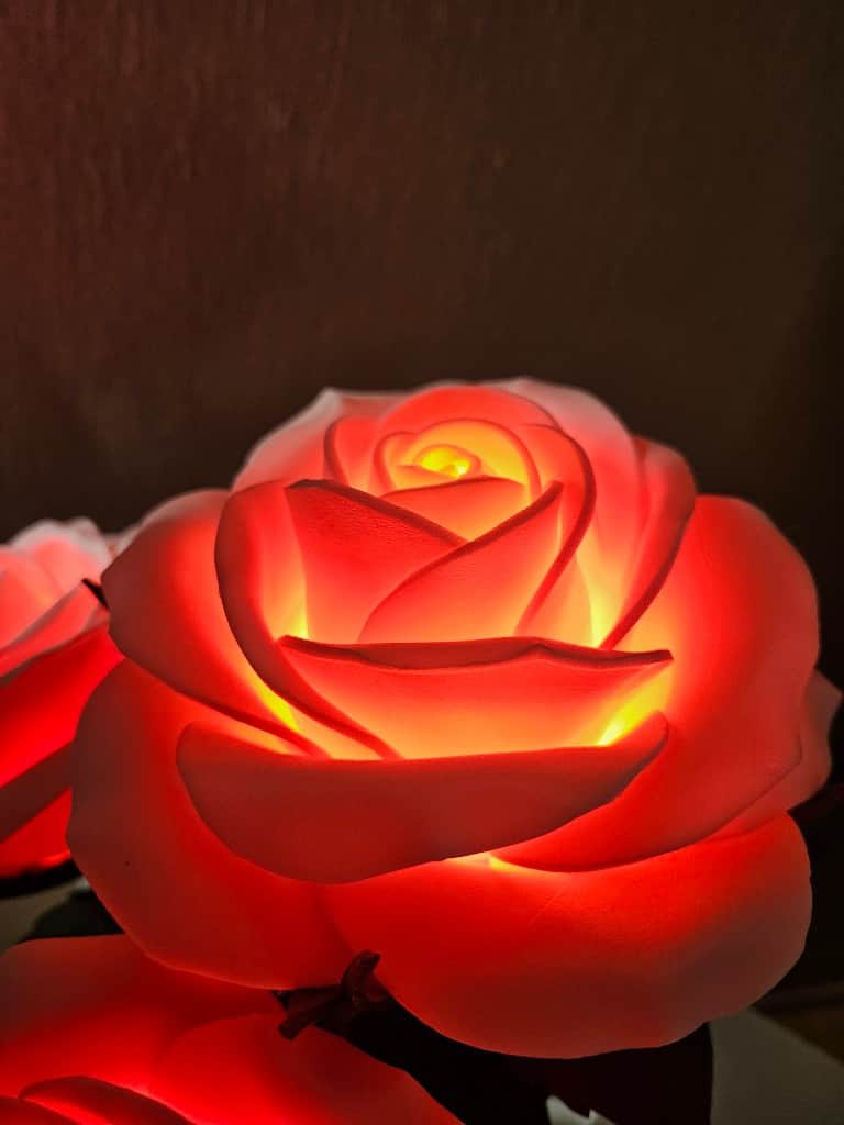 Naktslampiņa "ROZES"