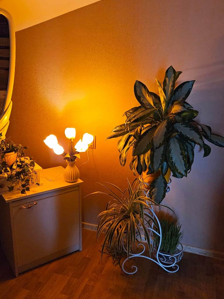 Naktslampiņa "TULPES"