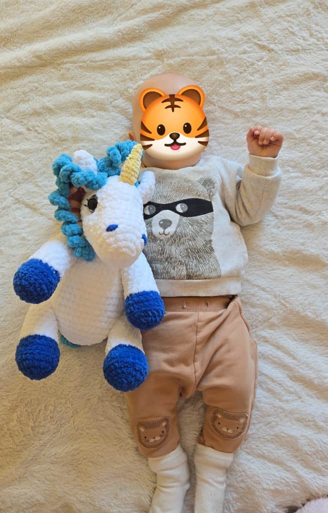 Tamborēts vienradzis