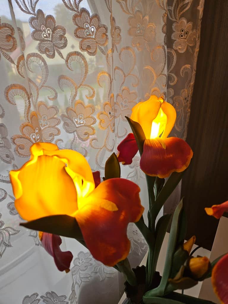 Naktslampiņa "ĪRISI"