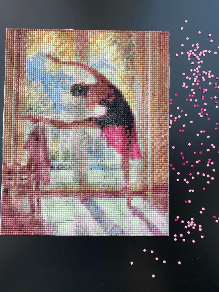 Dimanta mozaīku gleznas - Meitenes