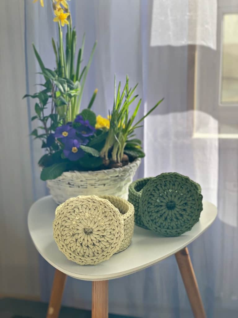 Krūžu paliktņi groziņā 🌿