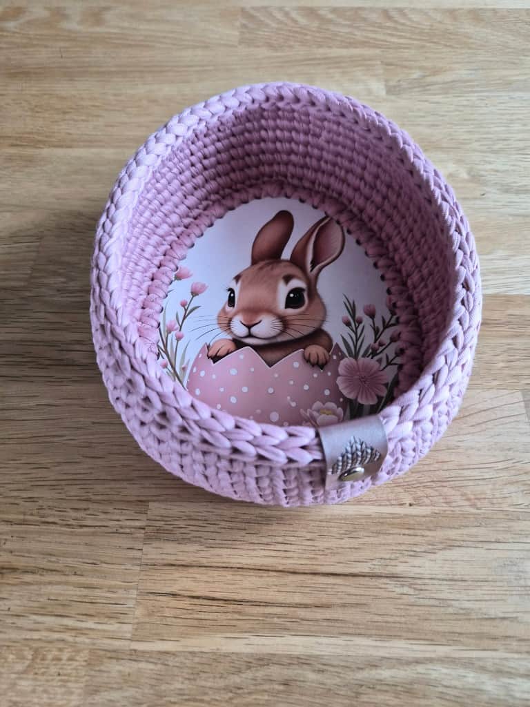 Pavasara zaķis - ola