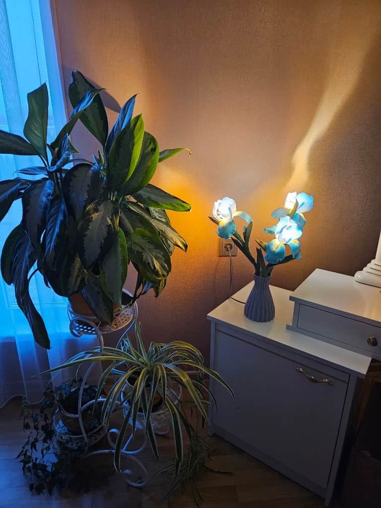 Naktslampiņa "ĪRISI"