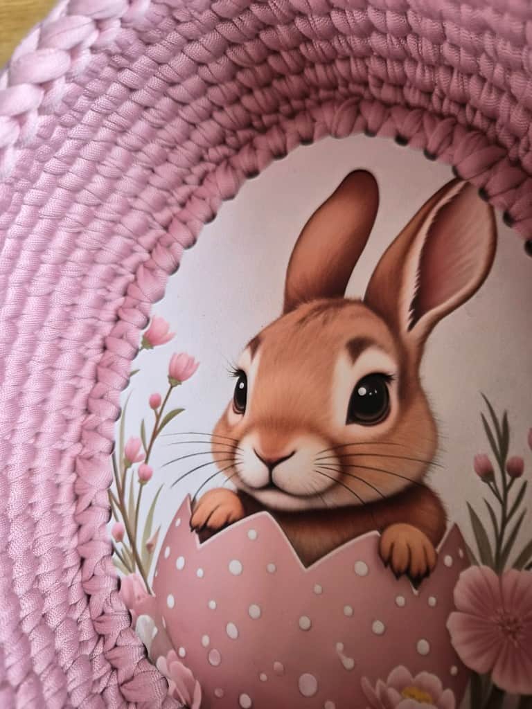 Pavasara zaķis - ola