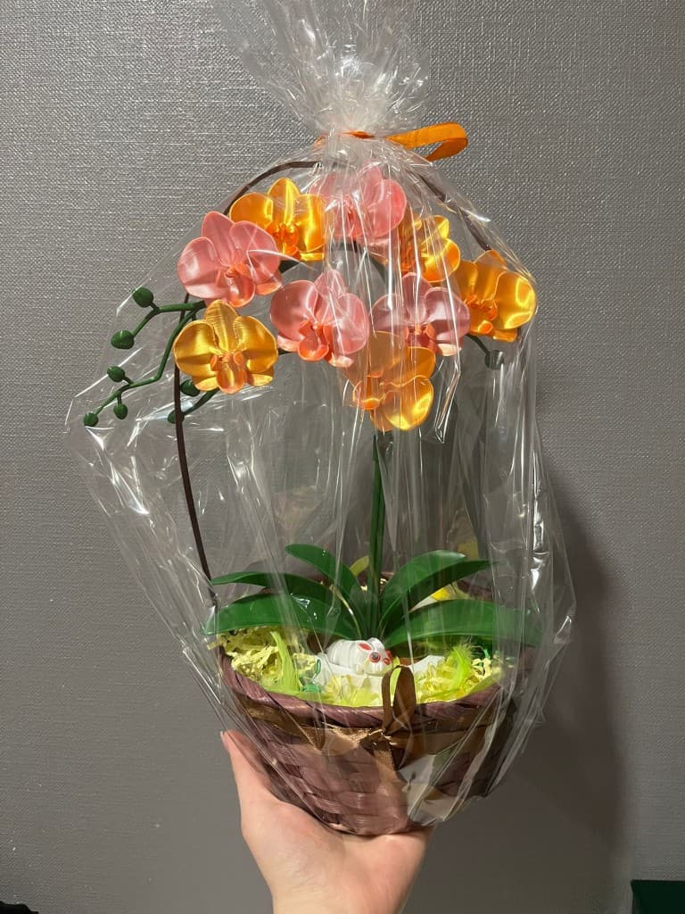 Iepakot dāvanu iepakojumā