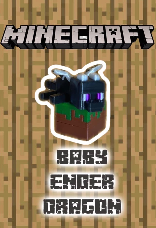 Baby ender dragon