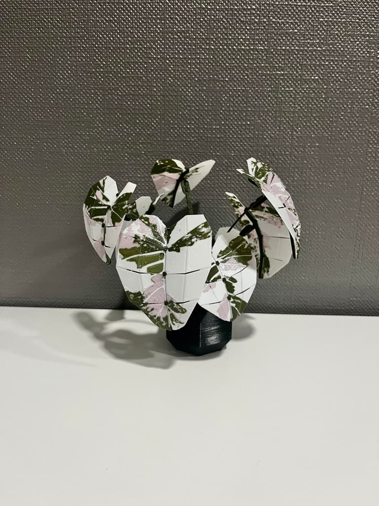 Zaļo augu kolekcija